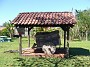 P_2007-12-14 11-13-10_1003